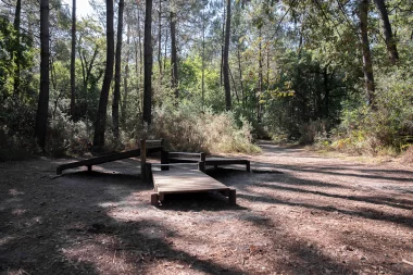 Parc de Mandavit de Gradignan (6).